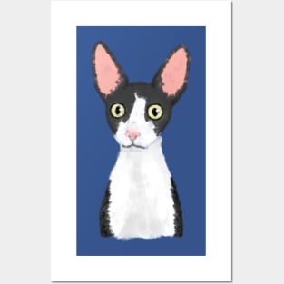 Cornish Rex (Small Design) Posters and Art